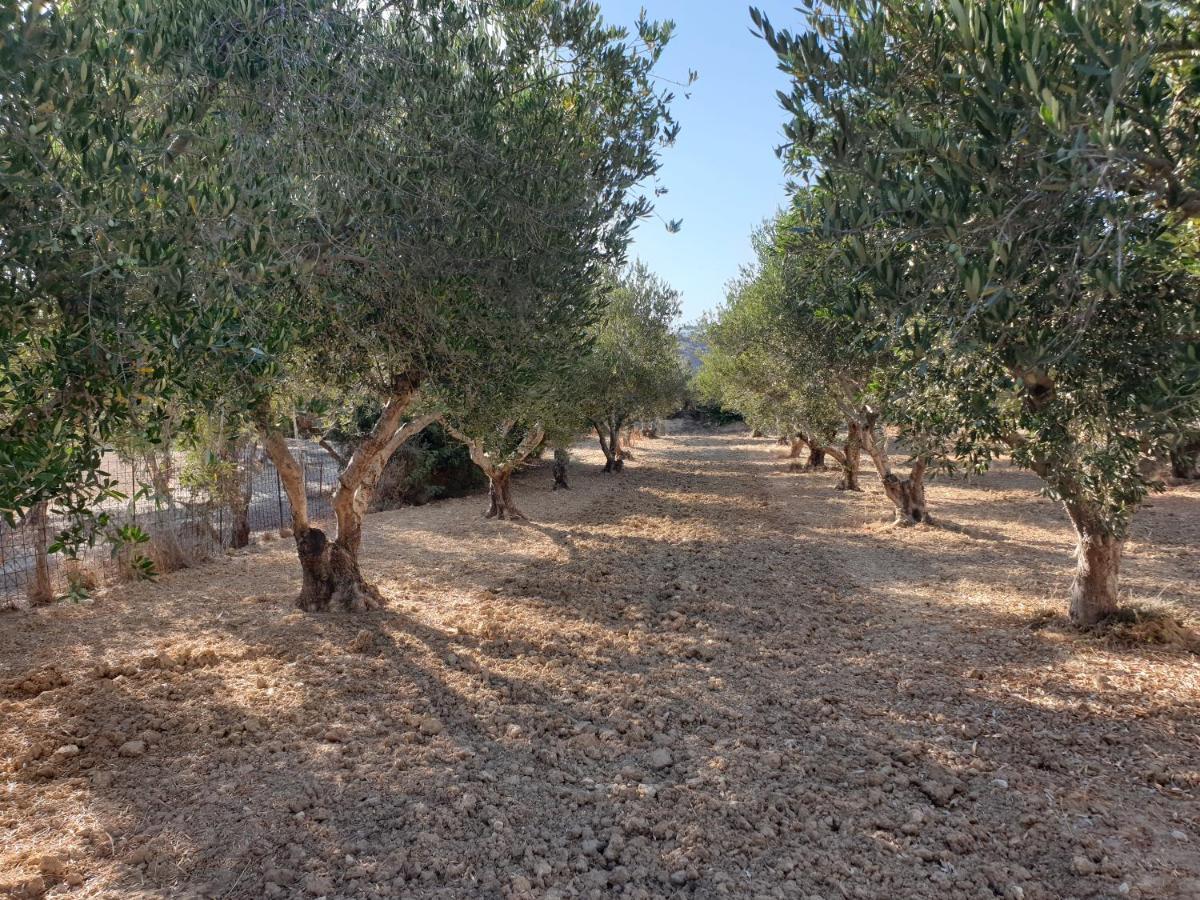 Kos Harmony Apartments Kefalos  Bagian luar foto